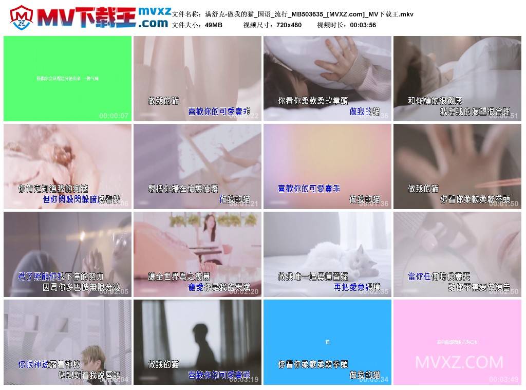 满舒克-做我的猫_国语_流行_MB503635